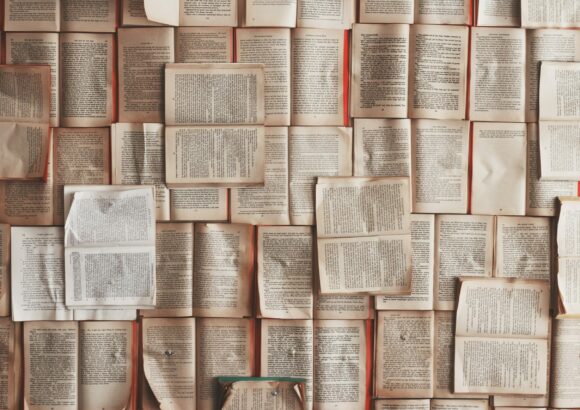 ¿Cómo es la investigación universitaria? – Descúbrelo